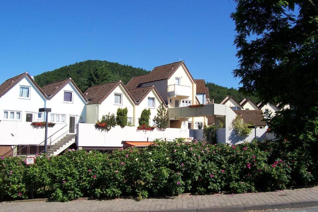 Seeblick Geniessen In Schoener Fewo Am Edersee Scheid  Exterior foto